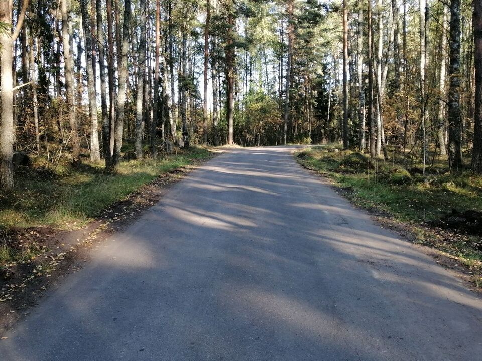 Асфальтированная дорога к базе отдыха через лес